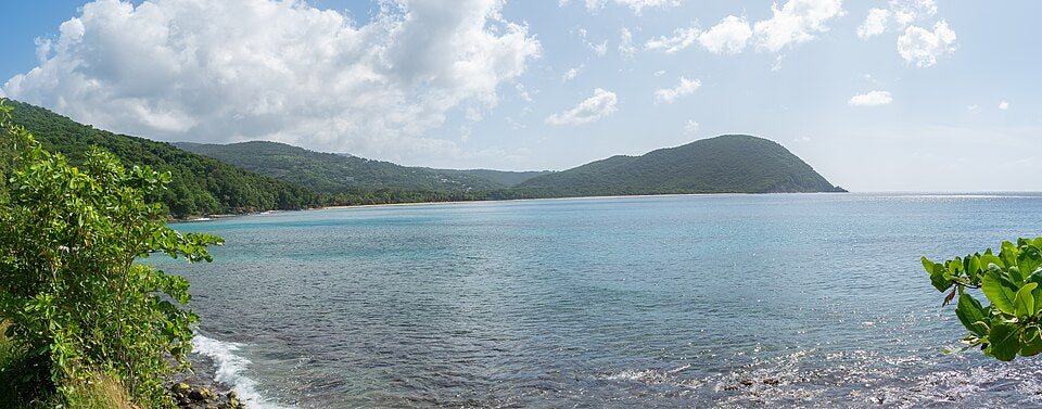 Grande Anse à Deshaies en Guadeloupe