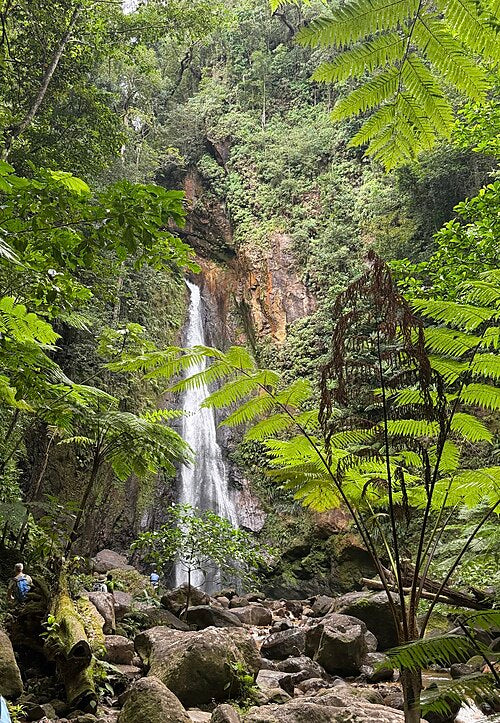 Syndicate Falls en Dominique